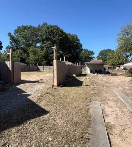 Laurens, SC tree service laurens sc kevin tree expert (2)